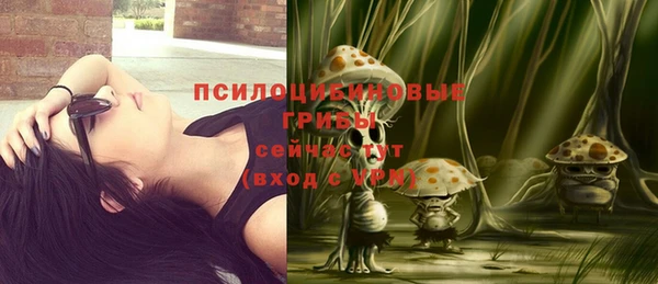 мдпв Вязьма