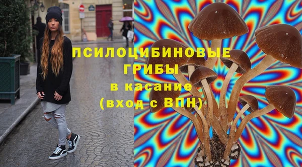 a pvp Вяземский